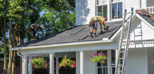 Best Roof Gutter Cleaning  in Noank, CT